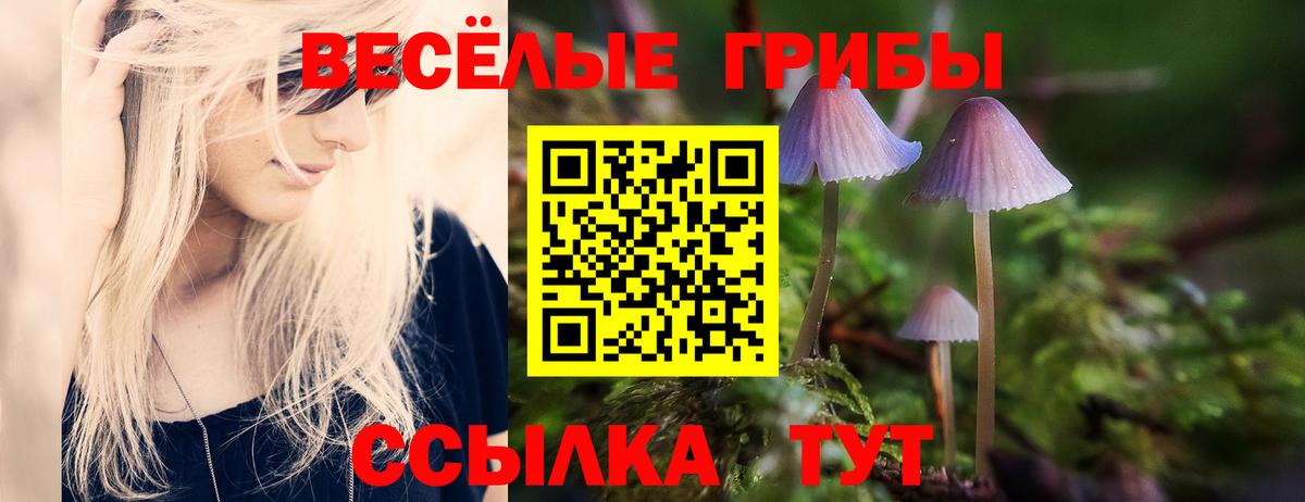 Галлюциногенные грибы мицелий  Псилоцибиновые грибы мухоморы  Нефтекамск  закладка  Вход с VPN 