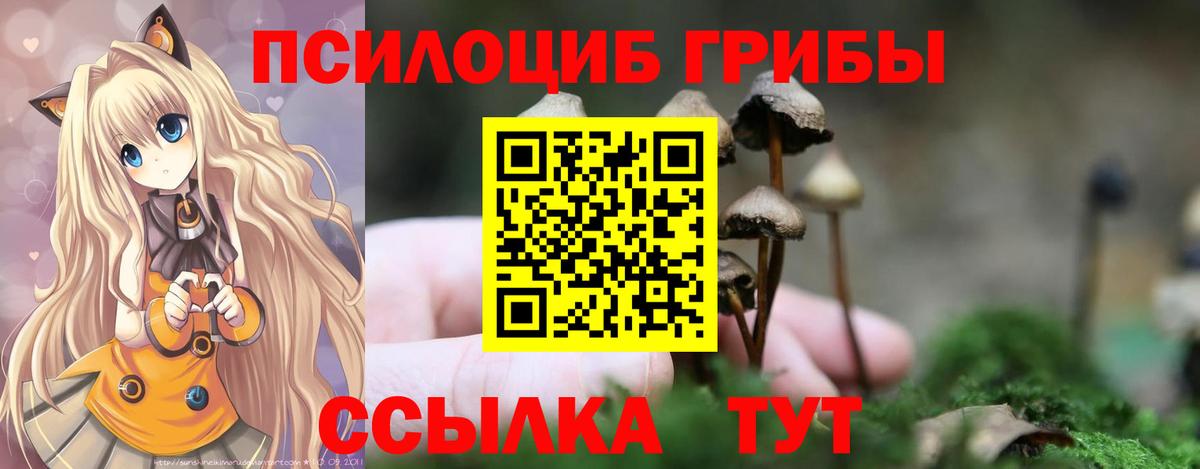Псилоцибиновые грибы Psilocybine cubensis Нефтекамск